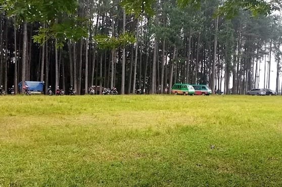 Wana Wisata Pokland Surga Wisata Alam di Cianjur dengan Hutan Pinus Langka dan Fasilitas Lengkap
