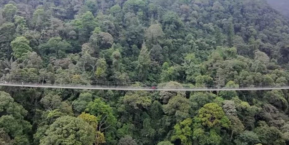 SitunGunung Pesona Wisata Alam dengan Jembatan Gantung dan Curug Memukau di Jawa Barat