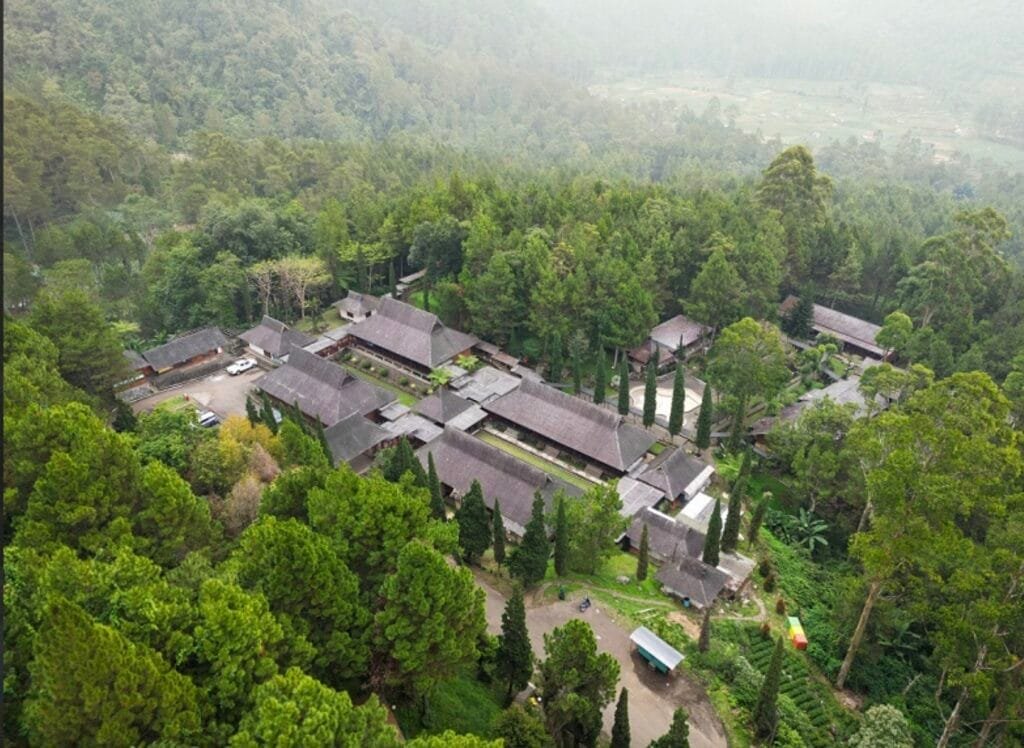 pesta BBQ, resort hutan pinus