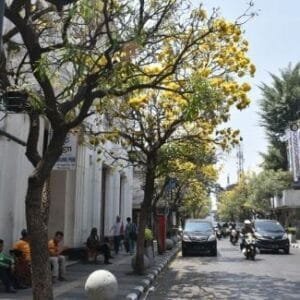 Fakta Wisata Jalan Braga dan Sejarahnya yang Besar