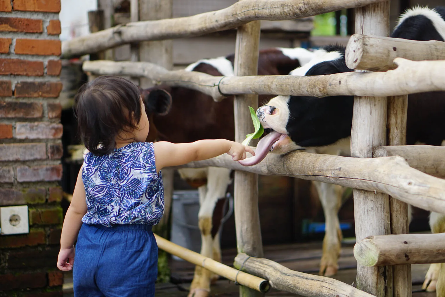 Kebun Binatang di Bandung Paris Van Java yang Disukai Anak