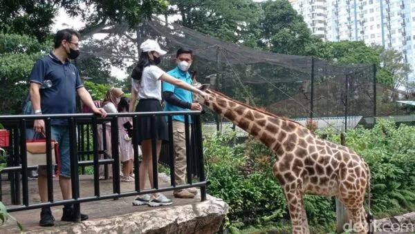 Panduan Wisata Bandung Zoo Agar Semakin Seru dan Edukatif