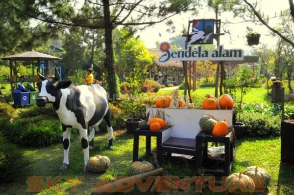 Keseruan Outbond Jendela Alam Bandung Dijamin Menyenangkan