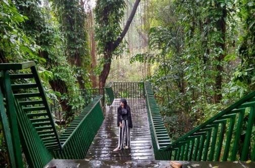 Wisata Forest Walk, Tempat Liburan yang Sejuk