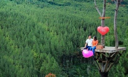 Fakta The Lodge Maribaya Bandung dan Keindahannya