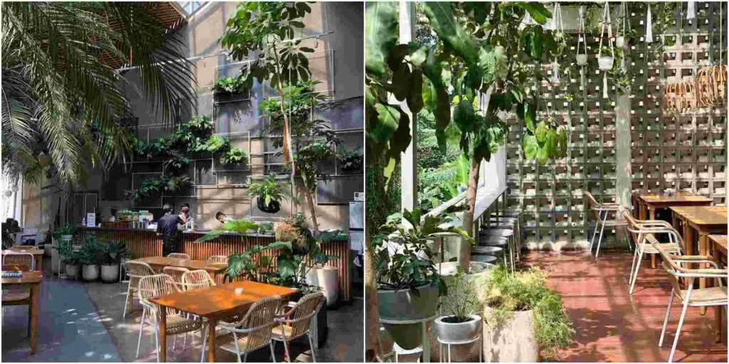 Jardin Café Jadi Tempat Nongkrong Kekinian dan Estetik