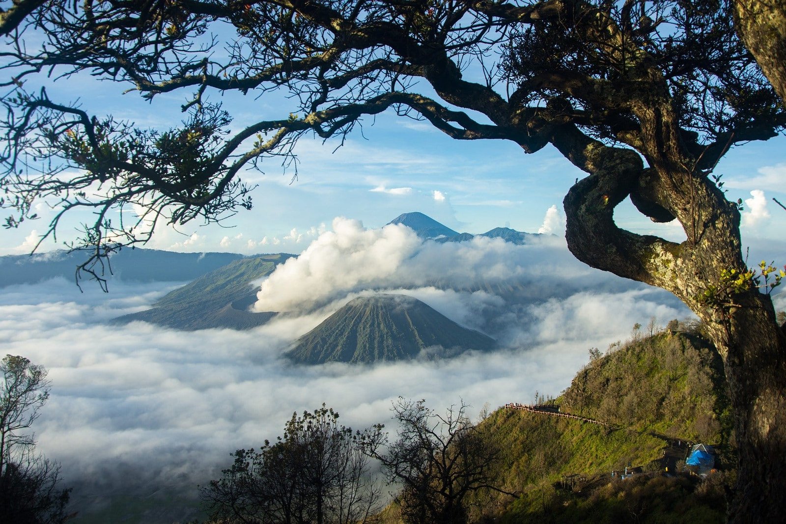 Mengenal Wisata Jatim Park Lamongan yang Menarik
