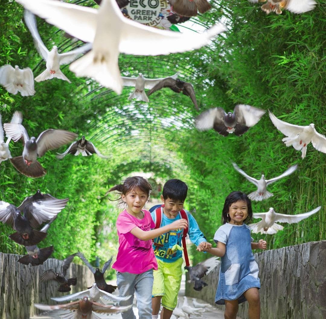 Tempat Wisata Jawa Timur yang Cocok Sebagai Sarana Edukasi