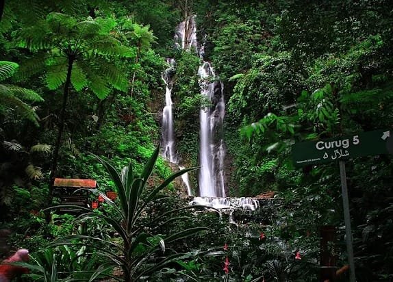 Curug Cilember: 7 Air Terjun Memukau di Hutan Pinus Bogor
