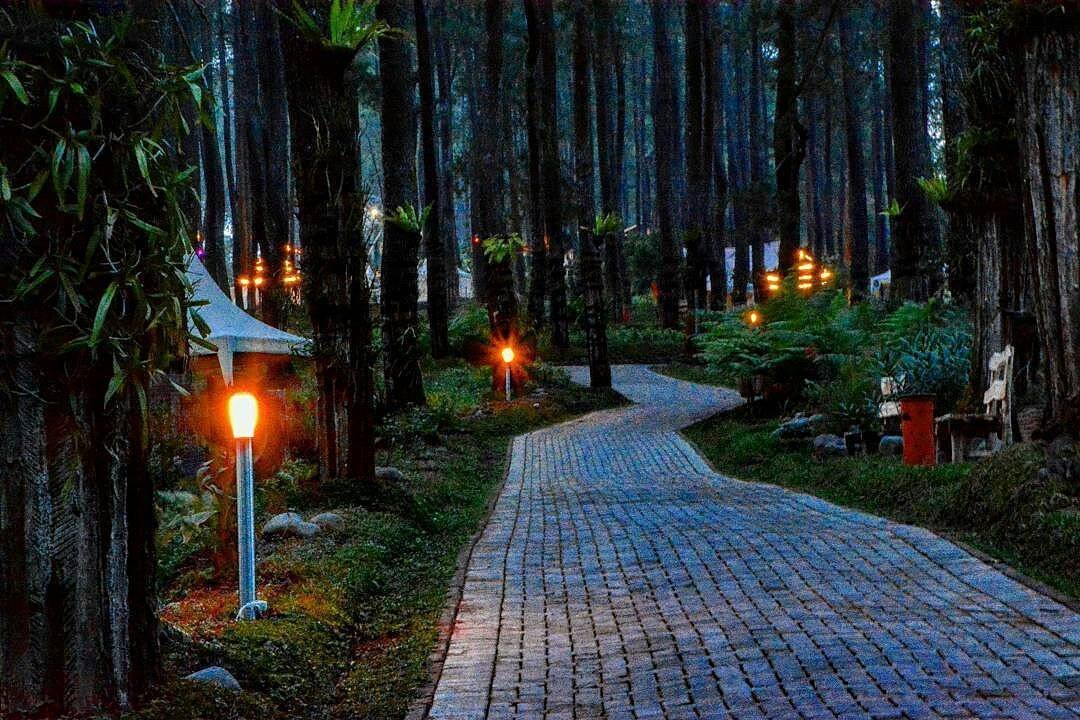 Pesona Orchid Forest Lembang, Bandung Bikin Gak Mau Pulang!