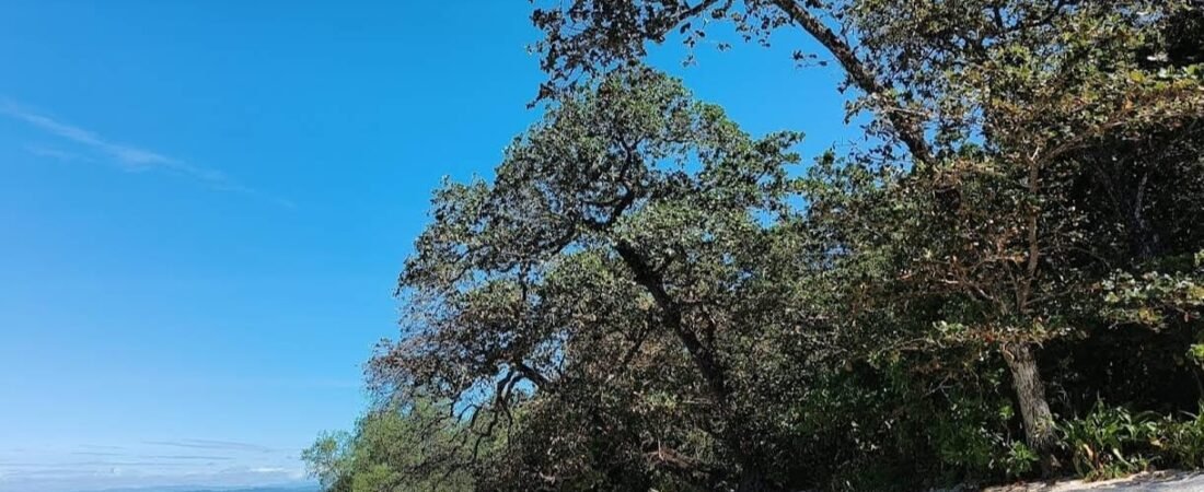 Menemukan Keindahan Tersembunyi: Explorasi Pantai Cijeruk Garut