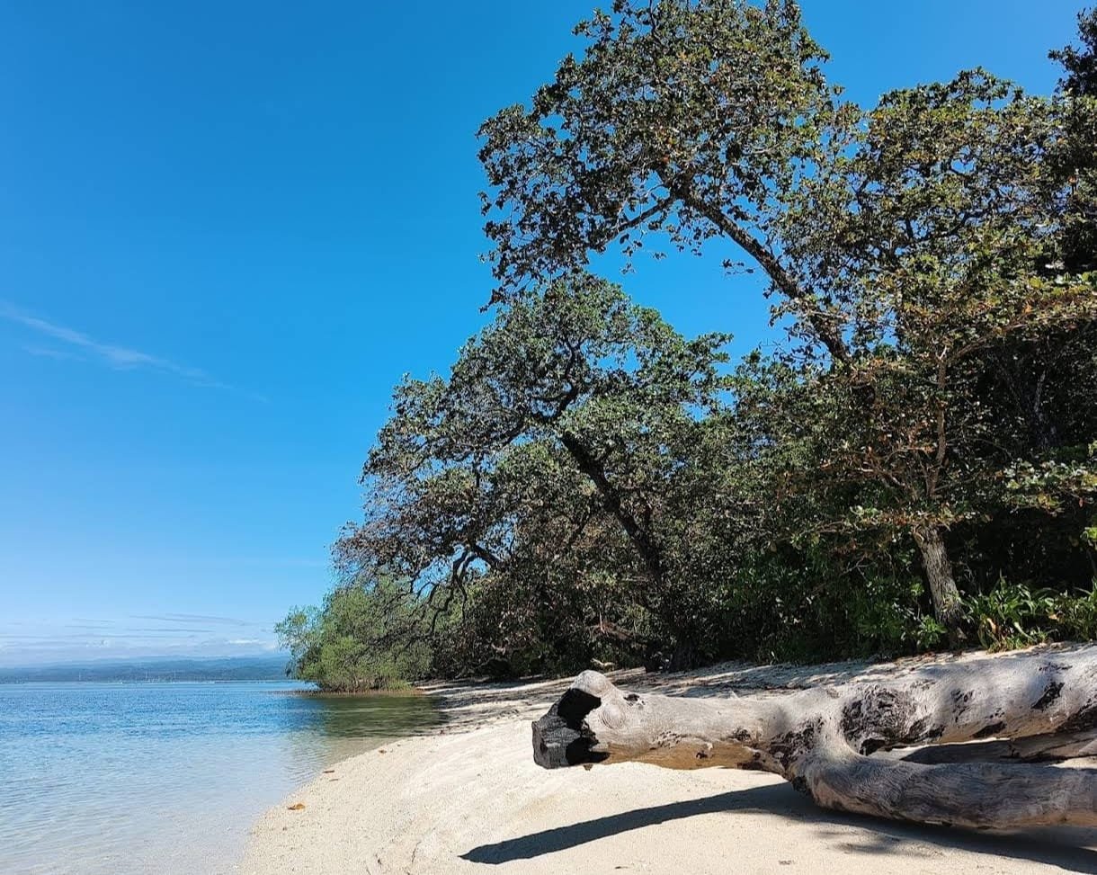 Menemukan Keindahan Tersembunyi: Explorasi Pantai Cijeruk Garut