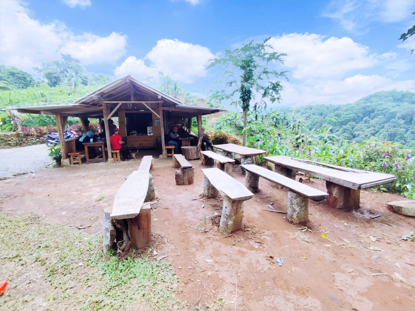 Rest Area Genteng Forest: Tempat Istirahat Adem dengan Empat Suasana Alam Sekaligus