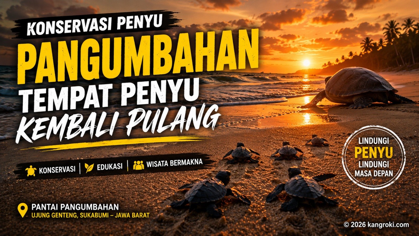 Konservasi Penyu Pantai Pangumbahan, Surga Tersembunyi Sukabumi Tempat Penyu Kembali Pulang