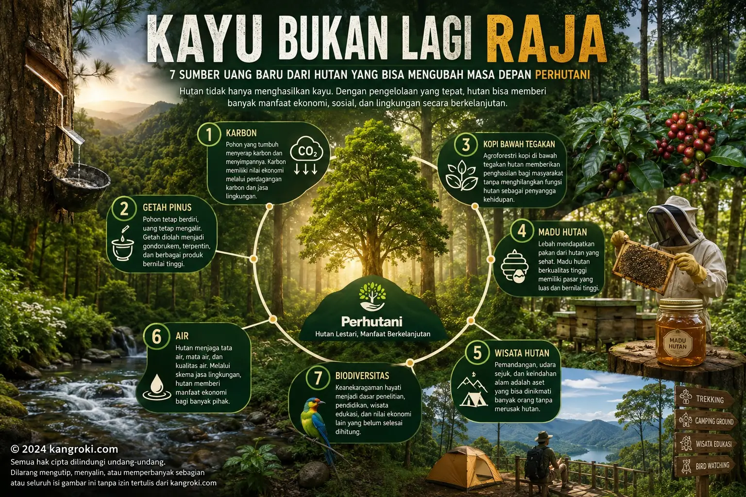 Kayu Bukan Lagi Raja: 7 Sumber Uang Baru dari Hutan yang Bisa Mengubah Masa Depan Perhutani